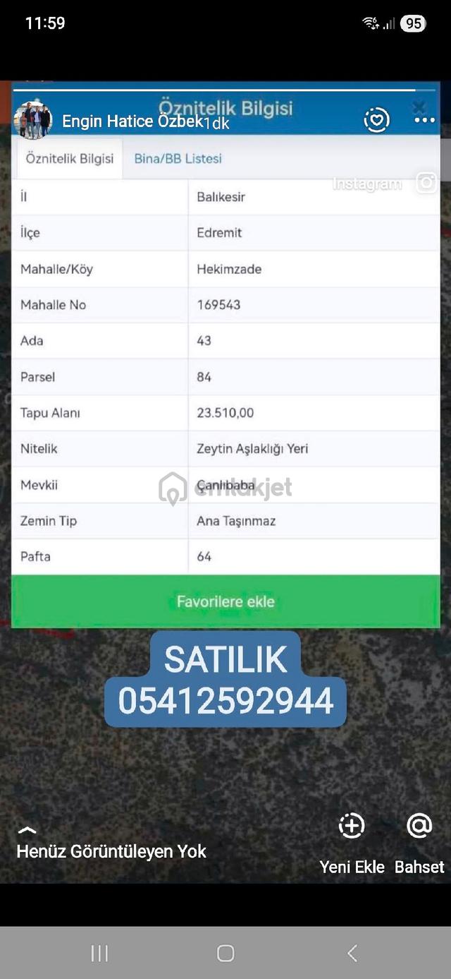 Acil Satılık Zeytınlık 5