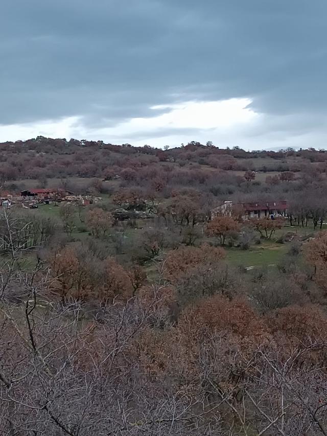 Newcıty Emlaktan Demircihalilde Satılık Tarla 4.200 M2 4