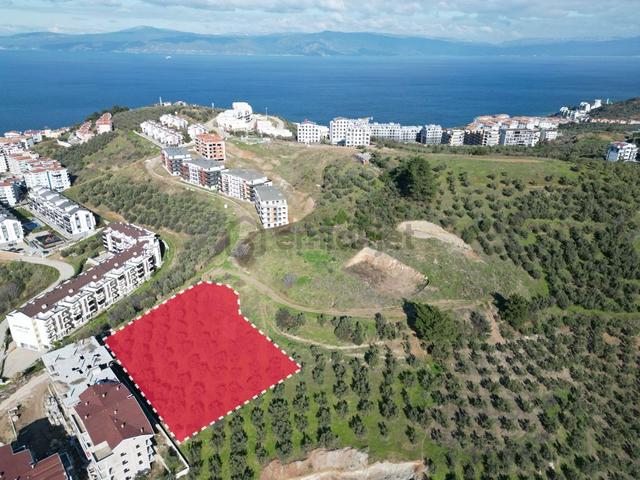 Elfi'den Güzelyalı Burgaz'da Deniz Manzaralı 2.680m2 İmarlı Arsa 3