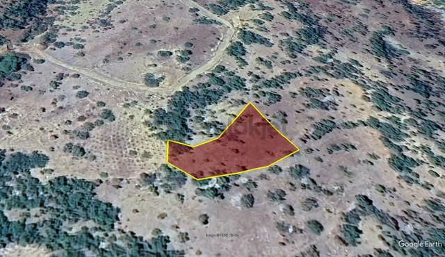 Konya / Hadim / Göynükkışla Mahallesinde 1.228 M² Müstakil Tapulu Bağ 2