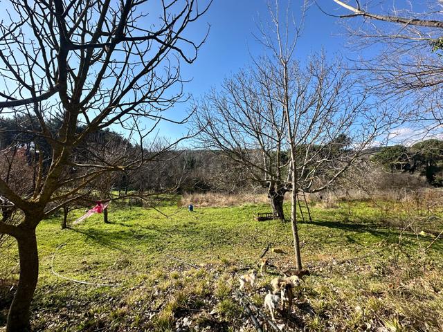 Mera Emlaktan Hacıarslanlar Köyü Dereye Cephe 7000m2 Tarla 4