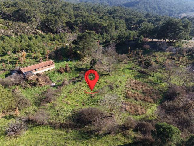 Mera Emlaktan Hacıarslanlar Köyü Dereye Cephe 7000m2 Tarla 5