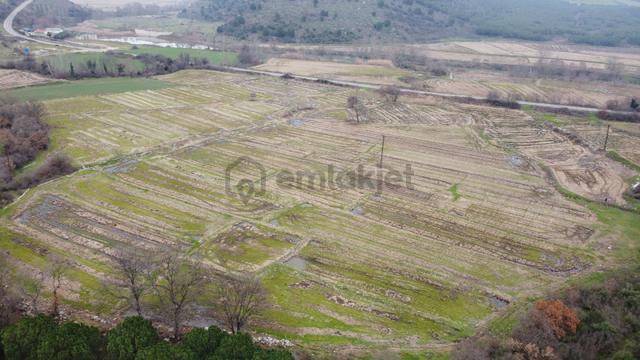 Gönen Ulukır Mh.22.750 M² Satılık Çeltik Tarlası 4