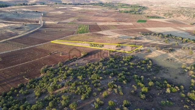 Akören Tülce De 6.078 M2 Müstakil Tapulu Tarla 5
