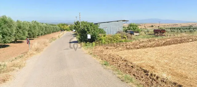 Karacabey Danişment'te 7,450 M2 Satılık Arazi 3