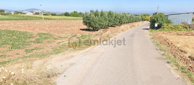 Karacabey Danişment'te 7,450 M2 Satılık Arazi 5