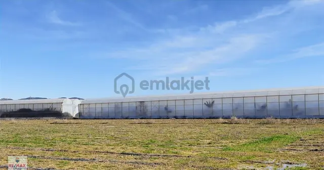 İmarlı Planına 350 Metre Mesafede Hobi Bahçesi,yatırımlık Arazi 3