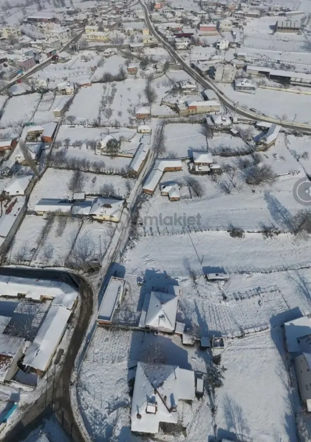 **balıkesir Balya Yenikavakta 17.500 M² Kapama Ceviz Bahçesi 4