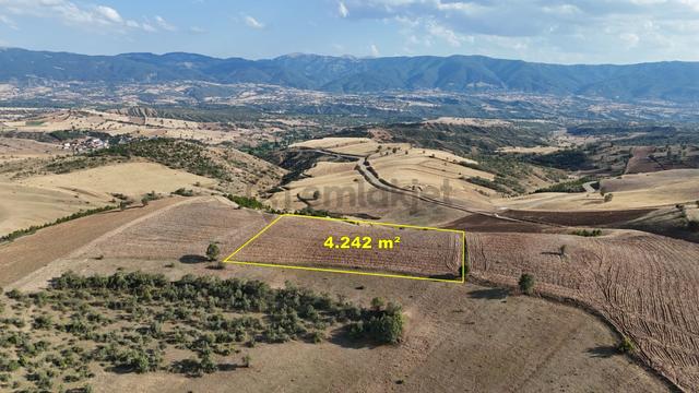 Amasya / Hamamözü / Sarayözü Nde 4.242 M² Müstakil Tarla 3