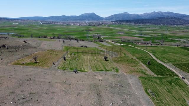 Konya / Akören / Orhaniye Mahallesinde 2.426 M² Müstakil Tapulu Tarla 2