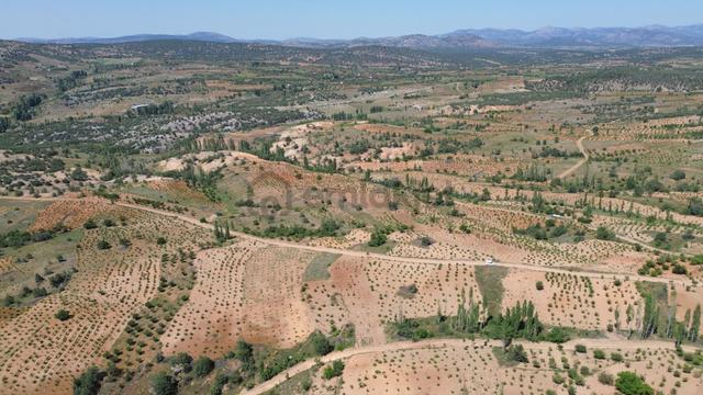 Konya / Bozkır / Hamzalar Da 259 M2 Müstakil Tapulu Bahçe 3