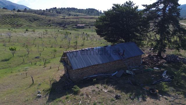 Konya / Hadim / Göynükkışla Mahallesinde 1.781 M² Müstakil Tapulu Tarla 5