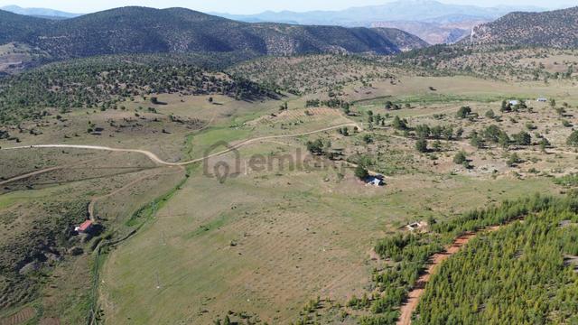 Konya / Hadim / Göynükkışla Mahallesinde 3.149 M² Müstakil Tapulu Tarla 2