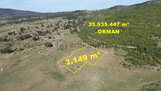 Konya / Hadim / Göynükkışla Mahallesinde 3.149 M² Müstakil Tapulu Tarla 1