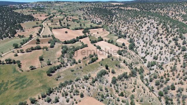 Konya / Akören / Belkuyu Mahallesinde 3.561 M² Müstakil Tapulu Tarla 2