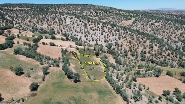 Konya / Akören / Belkuyu Mahallesinde 3.561 M² Müstakil Tapulu Tarla 1