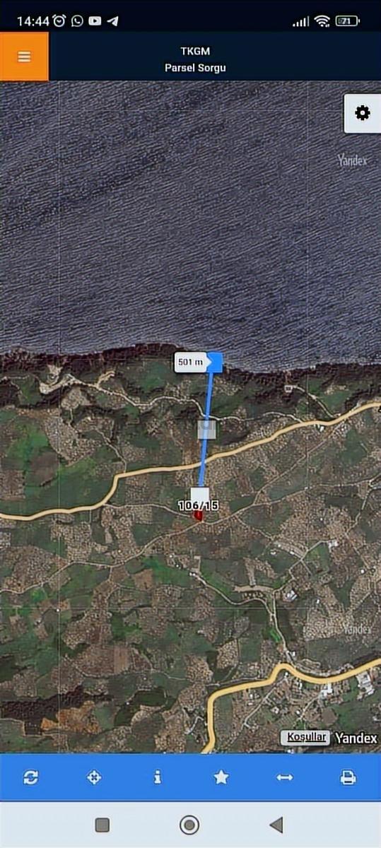 Anıl Emlak Tan Mudanya Trilye Halilbey 1665m2 Müstakil Zeytinlik 4