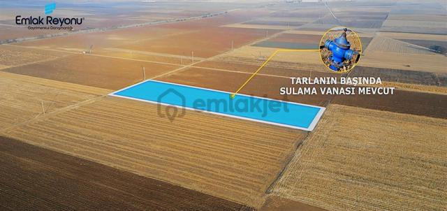 Emlak Reyonu Yollarbaşında 3,5 Dönüm Tarla Satıyor 2