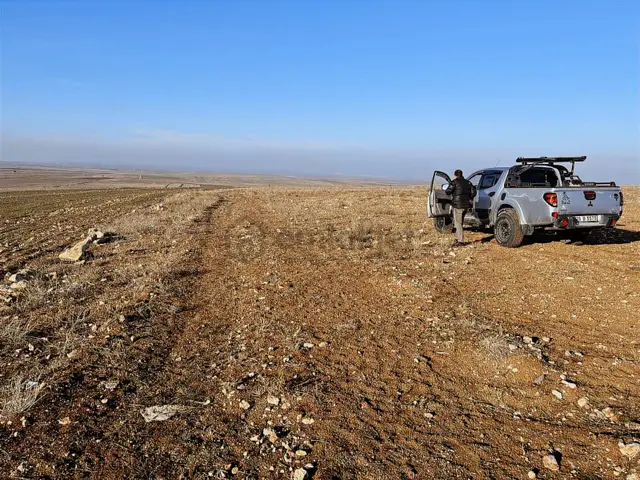 Başkan Emlaktan Satılık Seyitgazi İkiçeşme 54.550 M2 Tarla . 3