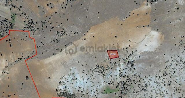 Abaş Köyünde 951 M2 Yatırıma Tarıma Uygun Satılık Tarla 5