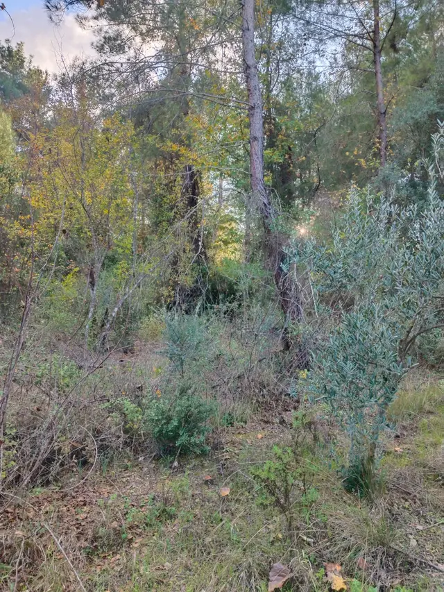 Yol Kenarı | Su Kanalı Cepheli | 1.993 M² Tarla | Cazip 2
