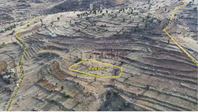 Konya / Bozkır / Hacılar Mahallesinde 1.043 M² Müstakil Tapulu Bahçe 4
