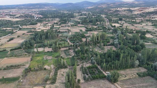 Konya / Doğanhisar / Zafer Mahallesinde 550 M² Müstakil Tapulu Tarla 4