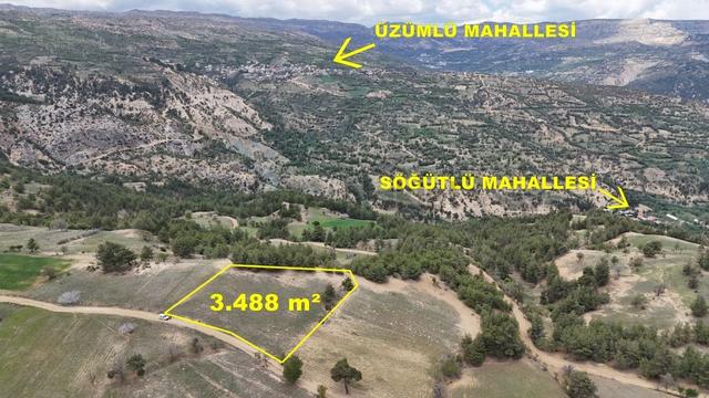 Karaman / Başyayla / Üzümlü Mahallesinde 3.488 M² Müstakil Tapulu Tarla 4