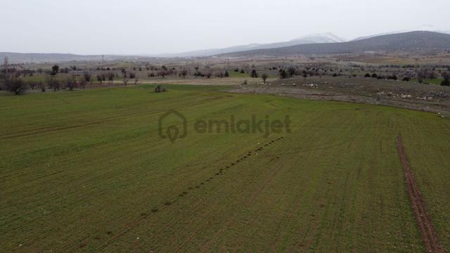 Konya / Akören / Tülce Mahallesinde 2.822 M² Verimli Müstakil Tapu Tarla 4