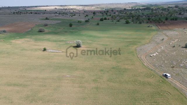 Konya / Akören / Tülce Mahallesinde 2.822 M² Verimli Müstakil Tapu Tarla 3