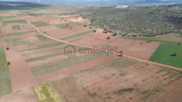 Konya / Akören / Hacılar Mahallesinde 5.936 M² Müstakil Tapulu Tarla 5