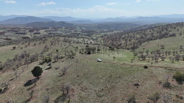 Konya / Güneysınır / Gürağaç Mahallesinde 2.367 M² Müstakil Tapulu Tarla 5