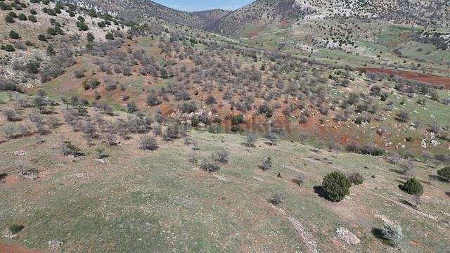 Konya / Güneysınır / Gürağaç Mahallesinde 1.283 M² Müstakil Tapulu Tarla 5