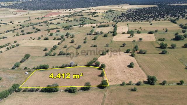 Konya / Akören / Karahüyükte Yeşillikler İçinde 4.412 M² Müstakil Tarla 5