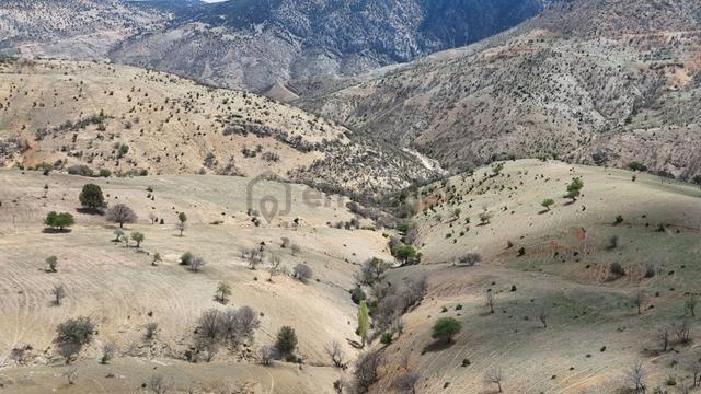 Konya / Hadim / Göynükkışla Mahallesinde 1.174 M² Müstakil Tapulu Tarla 3