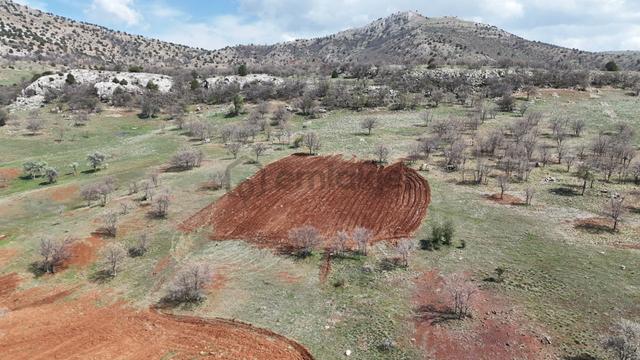Konya / Güneysınır / Gürağaç Mahallesinde 2.888 M² Müstakil Tapulu Tarla 5