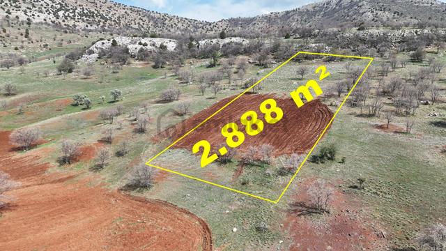 Konya / Güneysınır / Gürağaç Mahallesinde 2.888 M² Müstakil Tapulu Tarla 4