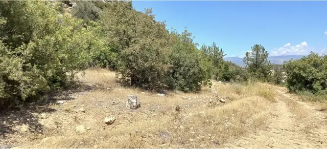 Silifkenin Köy Yerleşik Alanı İçinde Kalan En Ucuz Arazi 4