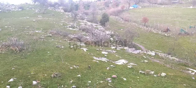 Akçay Artı Emlak'tan Havran Kocadağ'da Satılık 6400m2 Tarla 2