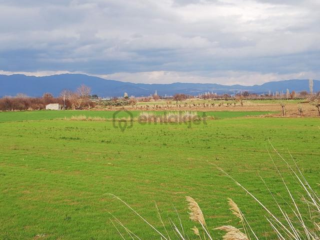 Artı Emlak'tan Burhaniye Börezli'de Satılık 11.000 M2 Tarla 5