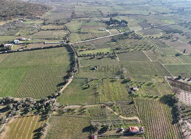 Kuşadası Burgaz Yedibilgeler Mevkiinde Tek Tapu 3.764 M² Yatırımlık Tarla 4