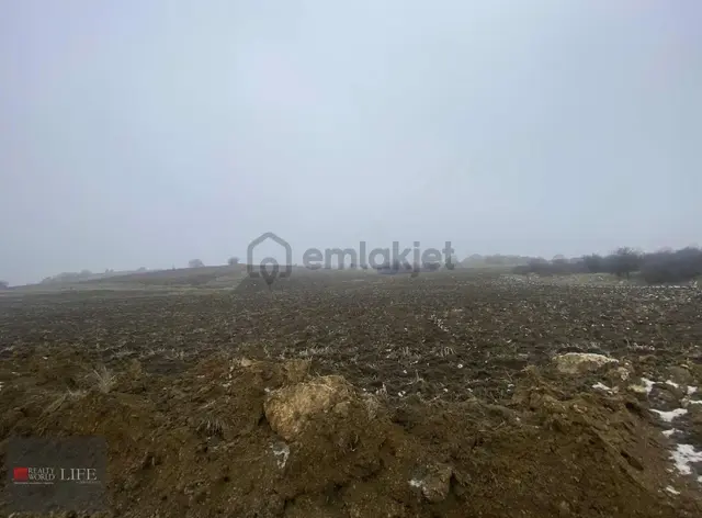 Rw Lıfe // İnönü İsmetpaşada Satılık Tarla 3