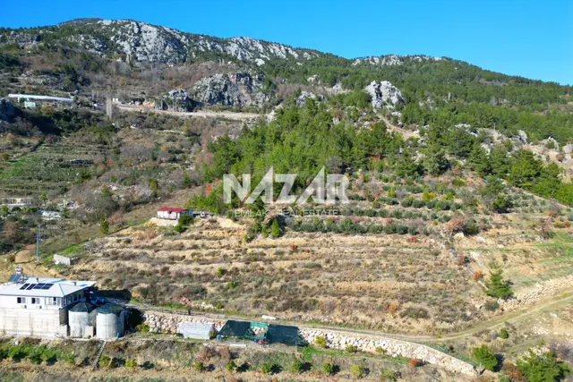 Alanya Yaylakonak’ta 3.299 M² Satılık Tarla 1