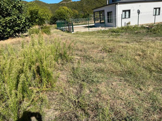 Se&as Exclusıve: Doğanlarda 4141 Metre² Yatırımlık Fırsat Arazi !!! 4