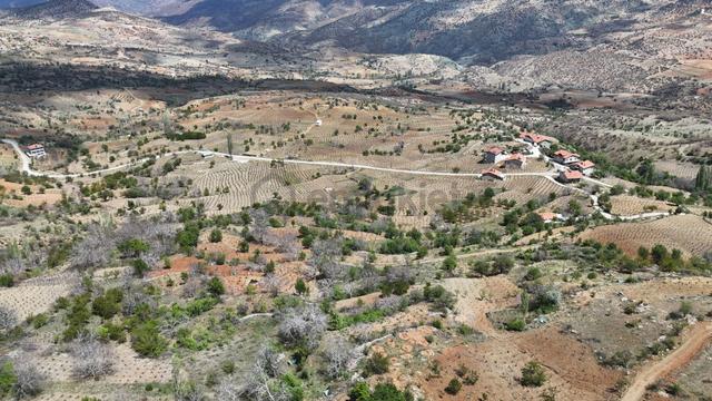 Konya / Hadim / Göynükkışla Mahallesinde 43 M² Müstakil Tapulu Bahçe 3