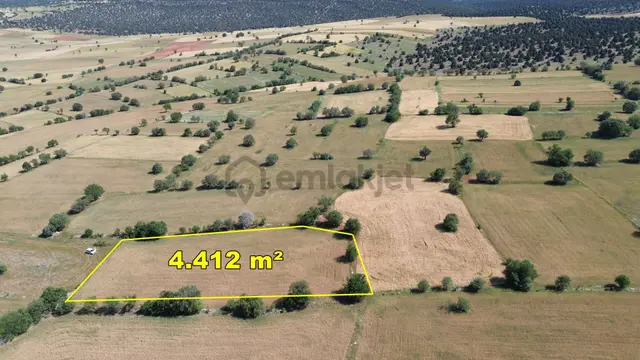 Konya / Akören / Karahüyükte Yeşillikler İçinde 4.412 M² Müstakil Tarla 5