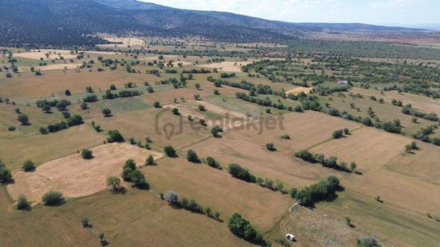Konya / Akören / Karahüyükte Yeşillikler İçinde 4.412 M² Müstakil Tarla 2