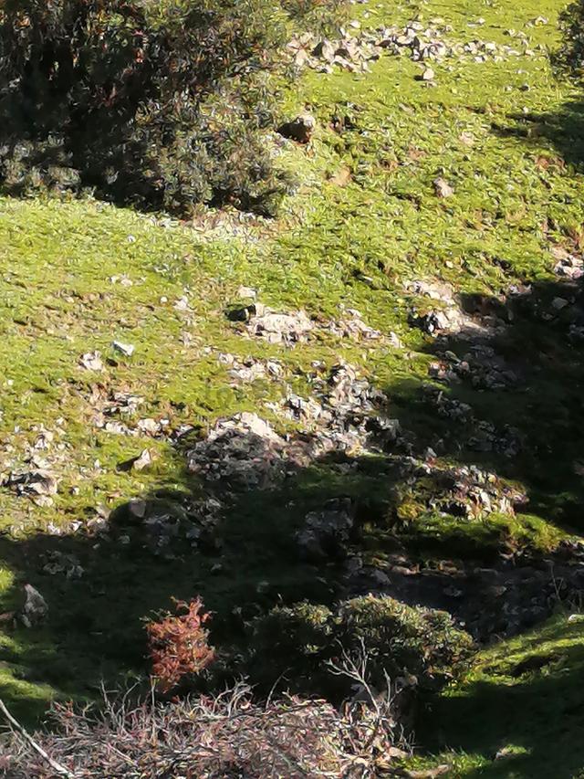 Uygun Fiyatlı Arazi 2