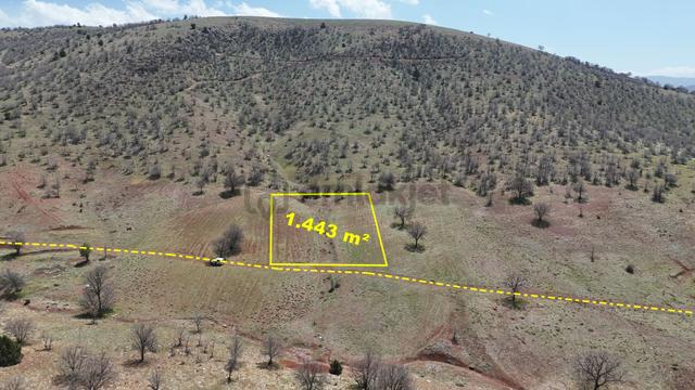 Konya / Güneysınır / Kızılöz Mahallesinde 1.443 M² Müstakil Tapulu Tarla 2