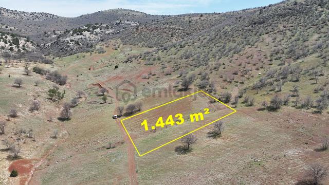 Konya / Güneysınır / Kızılöz Mahallesinde 1.443 M² Müstakil Tapulu Tarla 3